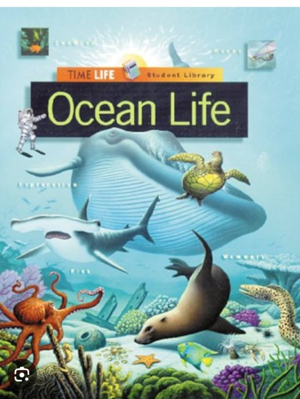 - Time Life "Ocean Life" Illustrated Hardcover Book - Blue Cover